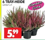 Wreesmann - 6 TRAY-HEIDE Angebot im Prospekt 6 TRAY-HEIDE bei Wreesmann im Prospekt "" für 5,99 €