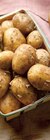 Intermarché Le Puy-en-Velay - Promo Pomme de terre primeur Promo Pomme de terre primeur à 3,39 € dans le catalogue Intermarché à Le Puy-en-Velay