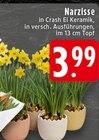 EDEKA Langerwehe Prospekt mit  im Angebot für 3,99 €