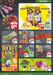 Sonnenblume im EDEKA Prospekt in Würzburg Aktueller EDEKA Prospekt mit Sonnenblume, "Wir lieben Lebensmittel!", Seite 9