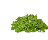 Bio-Rucola im Penny Prospekt Bio-Rucola von NATURGUT im aktuellen Penny Prospekt für 1,00 €