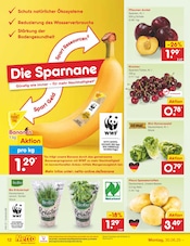 Küchenmöbel im Netto Marken-Discount Prospekt in Zwickau Aktueller Netto Marken-Discount Prospekt mit Küchenmöbel, "Aktuelle Angebote", Seite 14