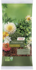 Pinierrinde Angebote von toom bei toom Baumarkt Freiburg für 9,99 €
