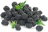 REWE Ebsdorfergrund - Brombeeren Angebot im Prospekt Brombeeren bei REWE im Ebsdorfergrund Prospekt für 1,79 €