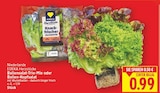 Ballensalat-Trio-Mix von EDEKA Herzstücke im aktuellen E center Prospekt