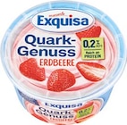 Quark-Genuss im Netto Marken-Discount Prospekt Quark-Genuss von Exquisa im aktuellen Netto Marken-Discount Prospekt für 1,49 €