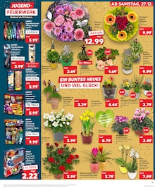 Feuerwerk im Kaufland Prospekt "Aktuelle Angebote" mit 34 Seiten (Bornheim)