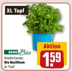 Bio Basilikum Angebote von REWE Bio bei REWE Hennef für 1,59 €