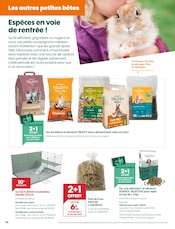 Lapin Angebote im Prospekt "Assis. Debout. Rentrée !" von Truffaut Lapin Angebote im Prospekt "Assis. Debout. Rentrée !" von Truffaut auf Seite 6