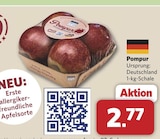 Pompur bei combi im Brakel Prospekt für 2,77 €