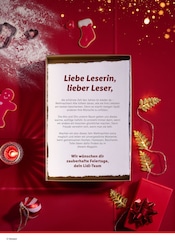 Aktueller Lidl Prospekt mit Gartengeräte, "Magische Weihnachtszeit", Seite 2