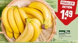 Bio Bananen im Angebot bei REWE in Dortmund Bio Bananen Angebote von REWE Bio bei REWE Dortmund für 1,49 €