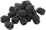 Brombeeren bei REWE im Lauf Prospekt für 1,49 €
