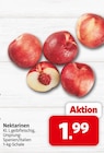 nah&frisch Bad Karlshafen - Nektarinen Angebot im Prospekt Nektarinen bei nah&frisch im Bad Karlshafen Prospekt für 1,99 €