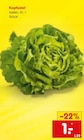 Aktuelle Salat Angebote bei Netto Marken-Discount in Frankfurt (Main) Aktuelles Kopfsalat Angebot bei Netto Marken-Discount in Frankfurt (Main) ab 1,00 €