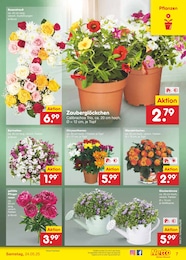 Stauder im Netto Marken-Discount Prospekt Stauder im Netto Marken-Discount Prospekt Aktuelle Angebote auf S. 9