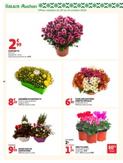 Promos Chrysanthèmes dans le catalogue "BIEN AU CHAUD" de Auchan Hypermarché Chrysanthèmes en promo dans le catalogue Auchan Hypermarché à la page 28
