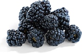 Brombeeren bei Netto Marken-Discount im Bergkirchen Prospekt für 1,49 €