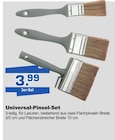 Bauzentrum Borgers Rees - Universal-Pinsel-Set Angebot im Prospekt Universal-Pinsel-Set bei Bauzentrum Borgers im Rees Prospekt für 3,99 €