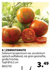 Aktuelles Zebratomate Angebot bei Dehner Garten-Center in Duisburg ab 3,49 €