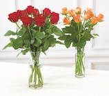 Bi1 Baugy - Promo Bouquet de 10 roses Promo Bouquet de 10 roses à 4,39 € dans le catalogue Bi1 à Baugy