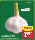 Knoblauch, frisch bei ALDI Nord im Plauen Prospekt für 0,99 €