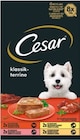 Schale Multipack Angebote von Cesar bei Netto mit dem Scottie Oranienburg für 4,99 €