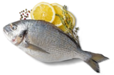 Dorade Royal im Angebot bei Kaufland in Cuxhaven Dorade Royal Angebote von K-BLUE BAY bei Kaufland Cuxhaven für 4,99 €