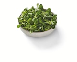 Aktuelles Bio Feldsalat Angebot bei Lidl in Bremen ab 0,99 €