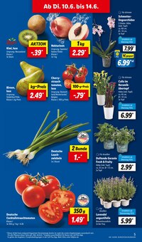Tomaten im Lidl Prospekt "LIDL LOHNT SICH" mit 68 Seiten (Bremerhaven)