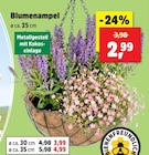 Blumenampel im Angebot bei Thomas Philipps in Dormagen Blumenampel Angebote bei Thomas Philipps Dormagen für 2,99 €