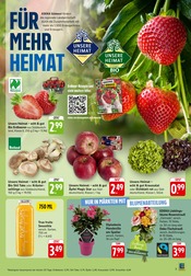Fernseher im EDEKA Prospekt in Reinheim Aktueller EDEKA Prospekt mit Fernseher, "Aktuelle Angebote", Seite 5