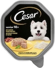 Hundenahrung Senior 10+ Angebote von Cesar bei REWE Seevetal für 0,79 €