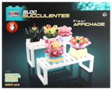 Bloc Succulentes Fleur Affichage - BRIQUE PAR BRIQUE à 12,99 € dans le catalogue B&M