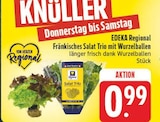 Aktuelle Salat Angebote bei EDEKA in Nürnberg Aktuelles Fränkisches Salat Trio mit Wurzelballen Angebot bei EDEKA in Nürnberg ab 0,99 €