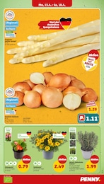 Penny Zwiebeln im Prospekt Penny Zwiebeln im Prospekt