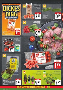 Pflanzen im EDEKA Prospekt "Wir lieben Lebensmittel!" mit 28 Seiten (Erlangen)