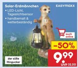 Solar-Erdmännchen im Angebot bei Netto Marken-Discount in Mainz Solar-Erdmännchen Angebote von EASYmaxx bei Netto Marken-Discount Mainz für 9,99 €