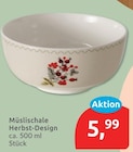 Müslischale Herbst-Design für 5,99 € bei budni im Angebot Müslischale Herbst-Design im aktuellen budni Prospekt