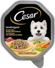 Landragout Angebote von Cesar bei budni Buxtehude für 0,79 €