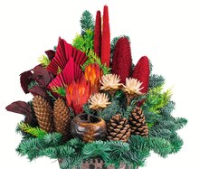 Grabschmuck bei Jawoll in Mönchengladbach Grabschmuck im Angebot bei Jawoll Mönchengladbach für 17,49 €