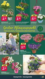 Aktueller Netto mit dem Scottie Prospekt mit Mixer, "Günstig. Besser. Für Dich.", Seite 13