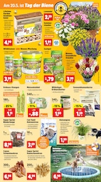 Hundefutter Angebot im aktuellen Thomas Philipps Prospekt auf Seite 7