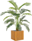 Kunstpflanze „Palme“ und passender Pflanzkübel „Akustikpaneele“ für 99,00 € bei Hornbach im Angebot Kunstpflanze „Palme“ und passender Pflanzkübel „Akustikpaneele“ im aktuellen Hornbach Prospekt