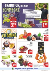 Pflanzen im EDEKA Prospekt in Freiberg Aktueller EDEKA Prospekt mit Pflanzen, "Wir lieben Lebensmittel!", Seite 8