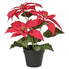 Topfpflanze, künstlich drinnen/draußen Weihnachtsstern/rot von VINTERFINT für 6,99 € bei IKEA im Angebot Topfpflanze, künstlich drinnen/draußen Weihnachtsstern/rot von VINTERFINT im aktuellen IKEA Prospekt