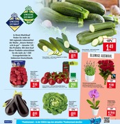 Aktueller Marktkauf Prospekt mit Zucchini, "Aktuelle Angebote", Seite 3