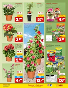 Bohnen im aktuellen Netto Marken-Discount Prospekt (Bonn) Bohnen im Netto Marken-Discount Prospekt "Aktuelle Angebote" mit 65 Seiten (Bonn)