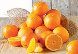 Clementine - Super U à Noisy-le-Grand Clementine en promo chez Super U Noisy-le-Grand à 3,99 €