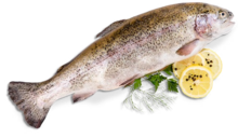 Forellen bei Kaufland in Nürnberg Forellen im Angebot bei Kaufland Nürnberg für 0,99 €